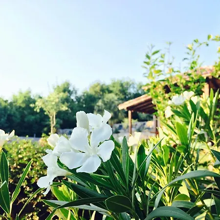 Klaudia (adults Only) Appartement Crikvenica